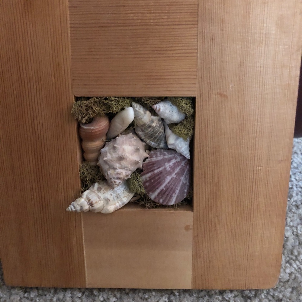jacksonville beach shells inside wooden frame